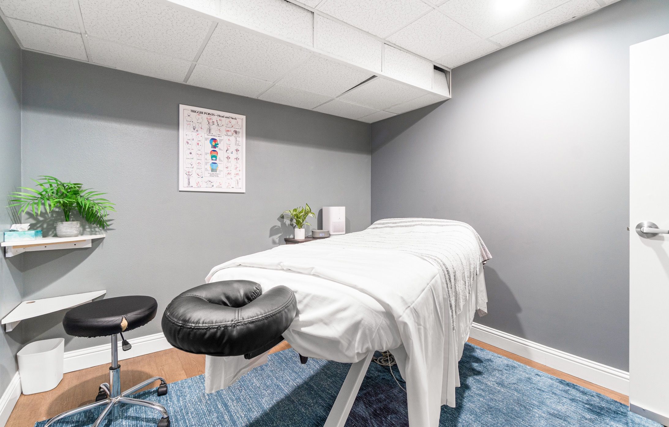 Massage Table