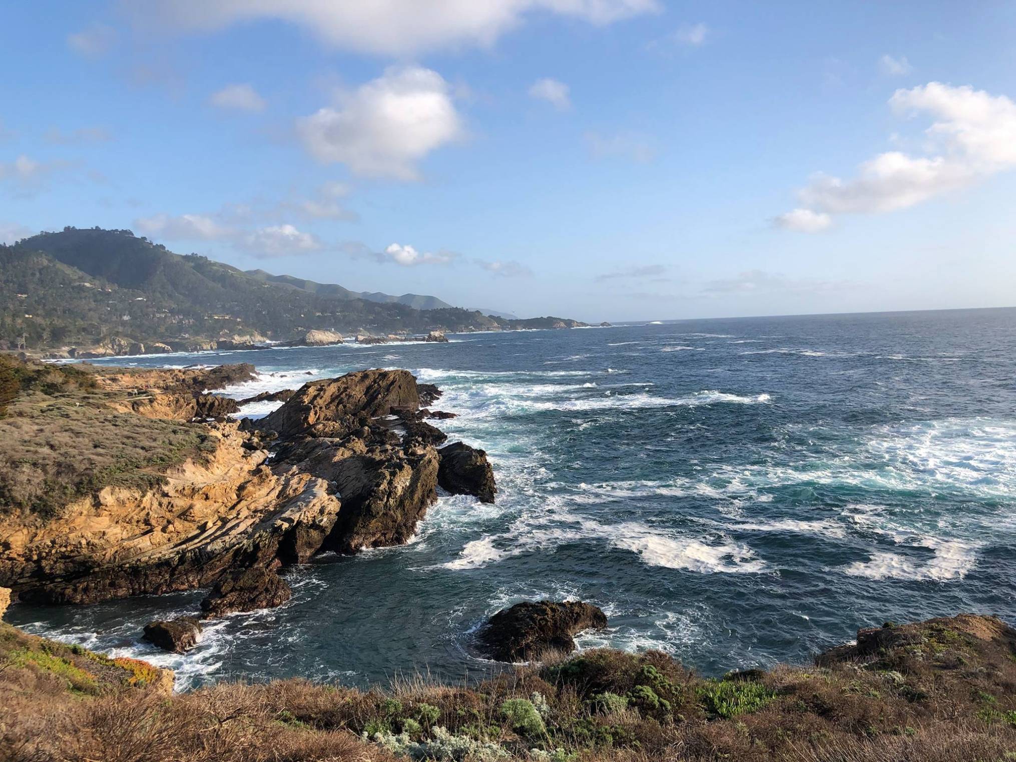 View of Beautiful Point Lobos.